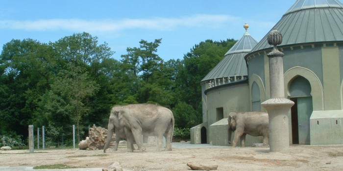 Tierpark Hellabrunn München