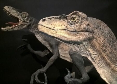 Sydney Museum