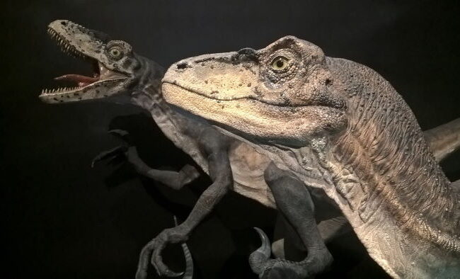 Museen in Sydney