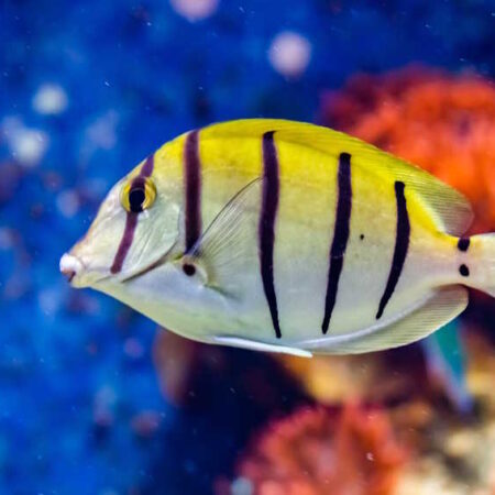 Aquazoo Düsseldorf