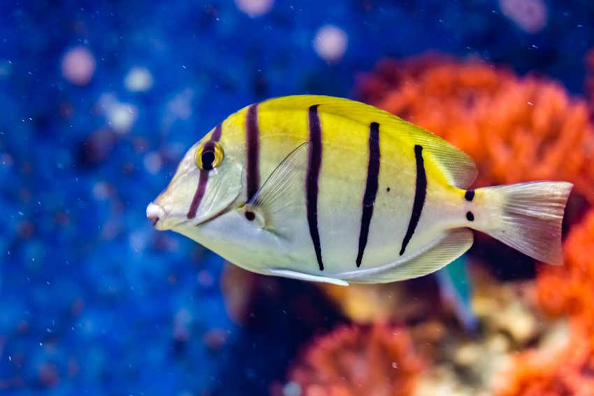Aquazoo Düsseldorf