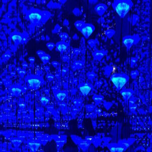 Moco Kunstmuseum Barcelona