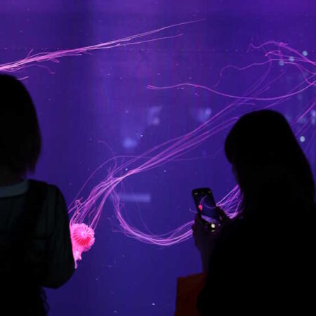 Sumida Aquarium Tokio