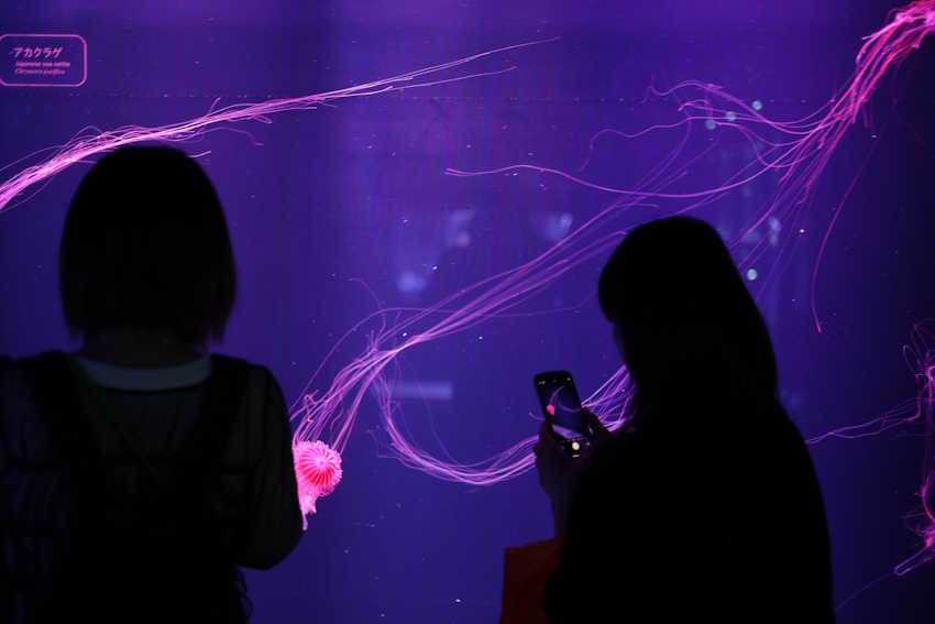 Sumida Aquarium Tokio