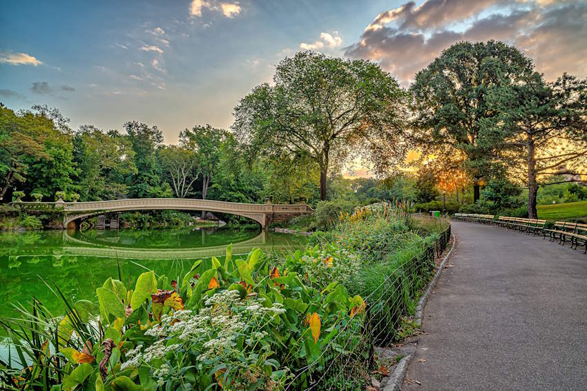Central Park New York